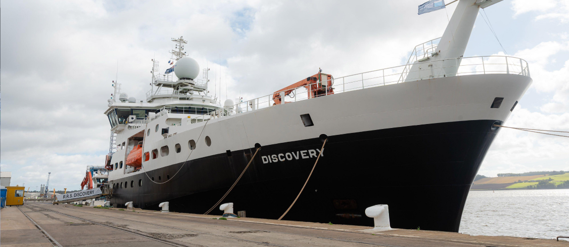 rss discovery
